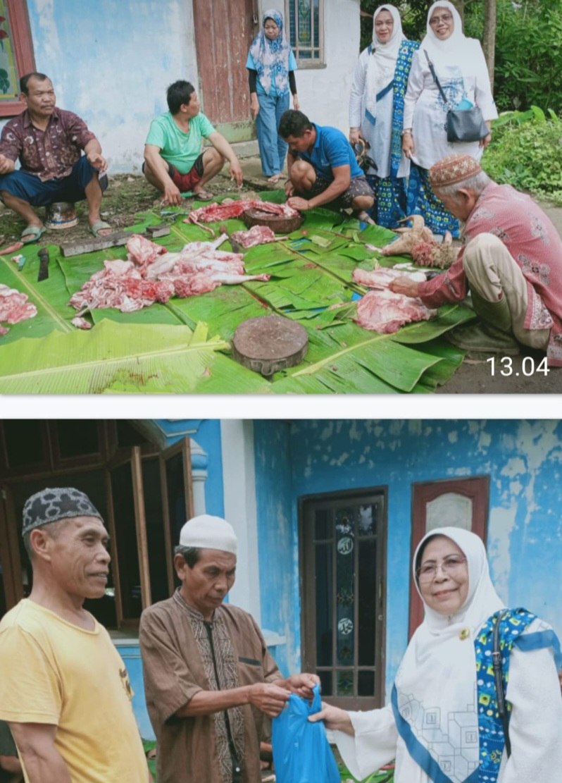 Idul Adha 1445 H BKMT Sumut Sembelih Hewan Kurban Di Tiga Kabupaten