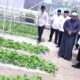 GUBSU periode 2018 - 2023 Edy Rahmayadi, memperhatikan tanaman tanaman aquaponik, yang merupakan salah satu usaha yang dikelola Pesantren Modern Darussalam Guntur Batubara. Waspada/Ist