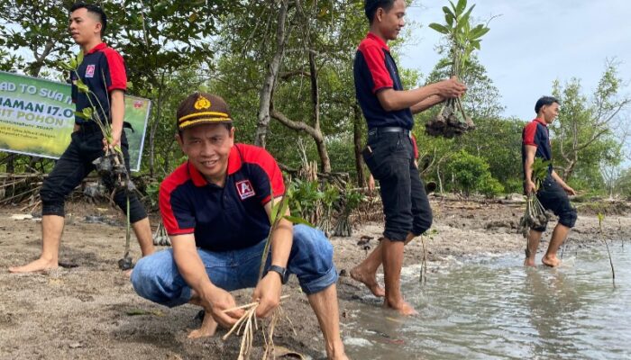 Alfamidi Tanam 1000 Bibit Mangrove