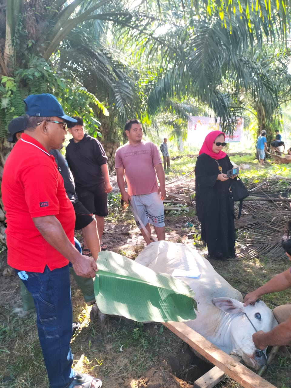 PAPPSI Berkurban Di Padangsidimpuan PAPPSI Berkurban Di Padangsidimpuan