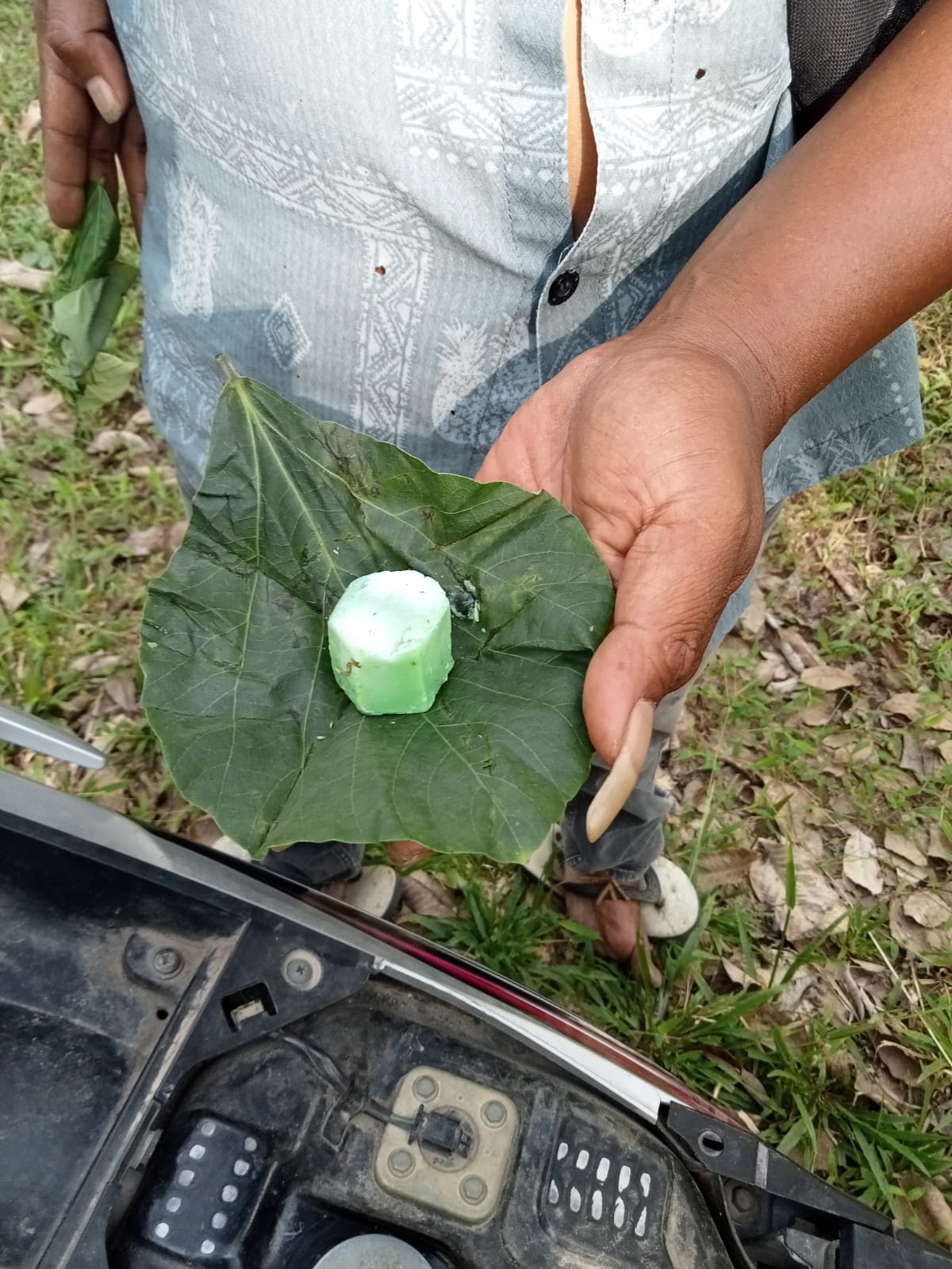 200 Ekor Lembu Diduga Diracun, GM PTPN 4 Regional 1 Asahan Enggan Hadapi Warga 200 Ekor Lembu Diduga Diracun, GM PTPN 4 Regional 1 Asahan Enggan Hadapi Warga