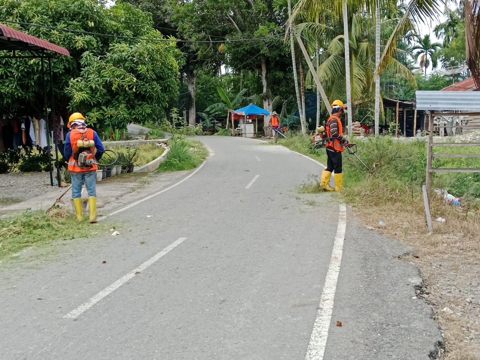 PUPR Agara Bersihkan Rumput Liar Jalan Utama PUPR Agara Bersihkan Rumput Liar Jalan Utama