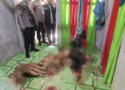 Janda Lansia Tewas Bersimbah Darah, Diduga Dibunuh