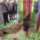 Polisi melakukan identifikasi jasad yang diduga korban pembunuhan di Pinto Rimba, Alue Lhok, Idi Tunong, Aceh Timur, Sabtu (15/6). Waspada/Ist.