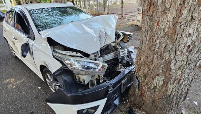 Hindari Mobil Lain, Toyota Yaris Tabrak Pohon Asam