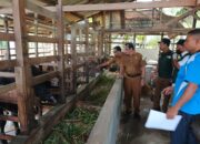Distanbunnak Aceh Tamiang Periksa Hewan Kurban