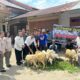 Pj Wali Kota Tebingtinggi, Dr Moettaqien Hasrimi, S.STP, M.Si serahkan bantuan berupa domba kepada kelompok tani. Waspada/Ist