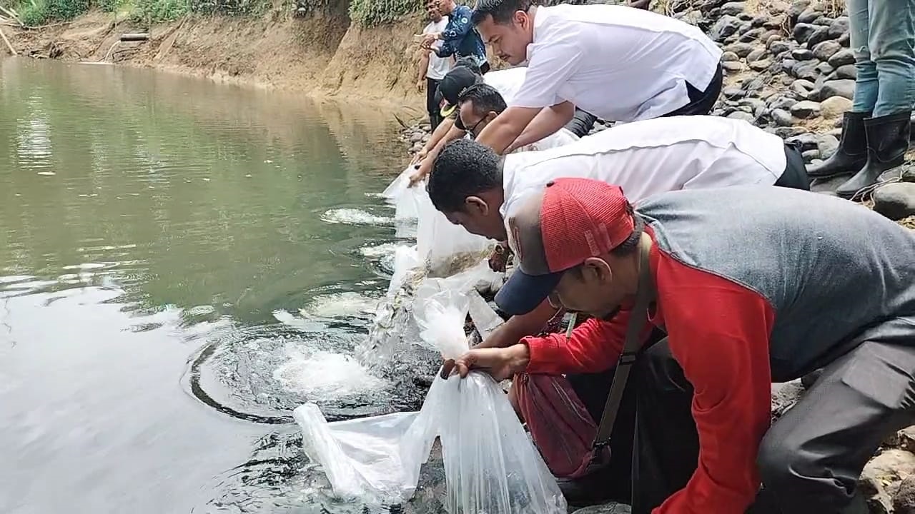 Hari Lingkungan, PT BSP Bagi Bibit Pohon Dan Tabur Benih Ikan Hari Lingkungan, PT BSP Bagi Bibit Pohon Dan Tabur Benih Ikan