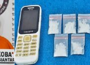 Polisi Ringkus Residivis Pengedar Sabu