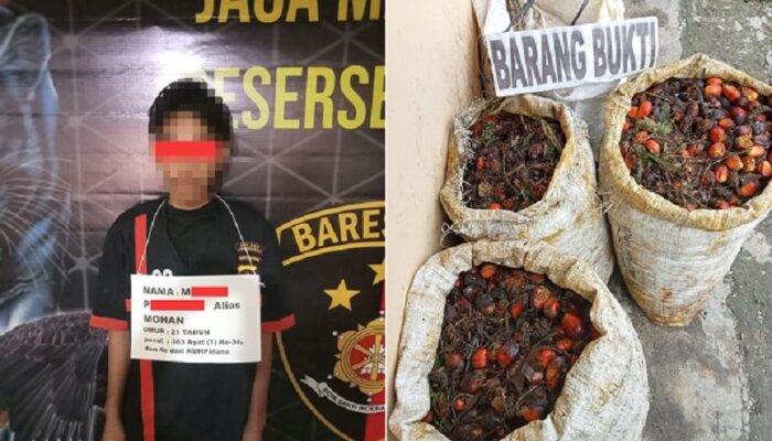 Pengumpul Berondolan Diserahkan ke Polsek Bilah Hulu