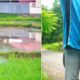 Gampong (desa) Bueng Sidom, Kecamatan Blang Bintang, Kabupaten Aceh Besar, masuk dalam lima besar pada lomba gampong tingkat Provinsi Aceh, tahun 2024, Selasa (4/6). (Waspada/Ist)