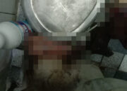 Warga Heboh, Mayat Orok Ditemukan Di Toilet RS Balimbingan