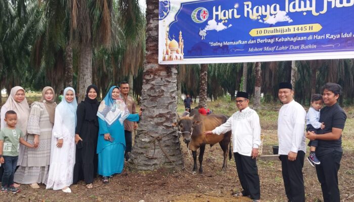 RS Cut Meutia PT CMN Kurban 5 Ekor Sapi