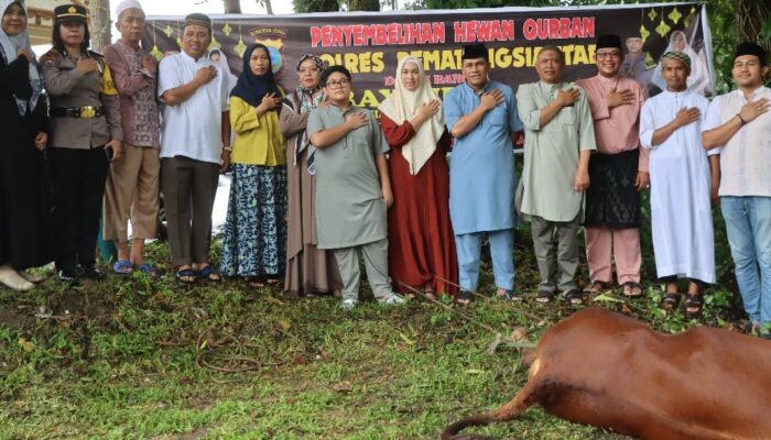 Polres P.Siantar Sembelih 5 Ekor Sapi Hewan Kurban