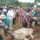 Anggota DPR RI Gus Irawan Pasaribu meninjau desa dan kelurahan tempat ia berkurban. Tahun ini, Gus berkurban 21 ekor sapi ukuran jumbo di Tapsel. (Waspada/Sukri Falah Harahap)