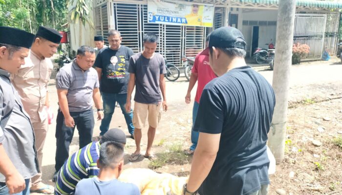 SMSI Madina Salurkan Kurban Pemkab