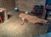 Terjadi Di Sergai, Kakek 74 Tahun Tewas Dirampok Dalam Rumah