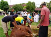 Belasan Hewan Kurban Disembelih Di Masjid Al-Fitrah Korem 011/Lilawangsa