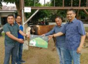 Wujud Kepedulian Pemkab Batubara Serahkan 30 Hewan Kurban