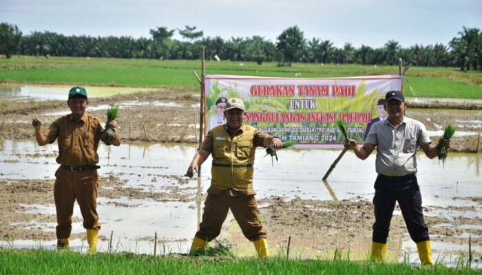 Pemkab Aceh Tamiang Lakukan Berbagai Upaya Pengendalian Inflasi