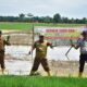 Pj Bupati Aceh Tamiang, Drs Asra saat melakukan penanaman padi musim tanam Gadu di Kampung Teulaga Meuku Dua,Kecamatan Banda Mulia, Senin (3/6) kemarin.(Waspada/Yusri).