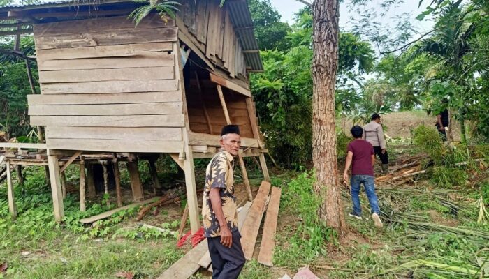 Puluhan Gajah Mengamuk, Tiga Rumah Hancur