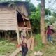 Petugas kepolisian bersama warga melihat rumah warga yang dirusak gajah di Sri Mulya, Peunaron, Aceh Timur, Selasa (18/6). Waspada/H. Muhammad Ishak