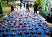 RUMAN Aceh Salurkan 219 Paket Daging Kurban