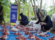 GER Sembelih Hewan Kurban Untuk 1.464 Keluarga Di Aceh