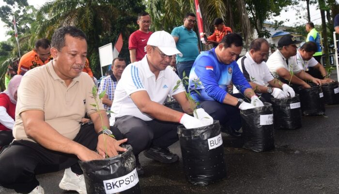 Pj Bupati DS Launching Gerakan Menanam Cabai