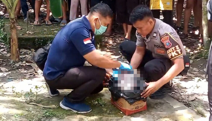 Jasad Janin Ditemukan Dikubur Di Kebun