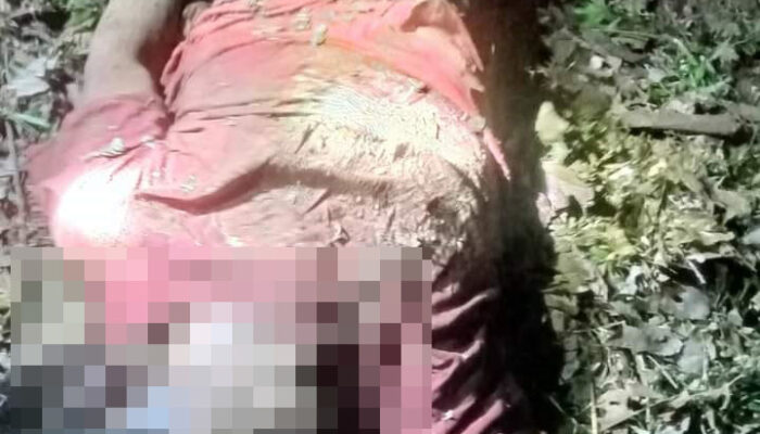 Warga Agara Tewas Diinjak Gajah Peroleh Santunan
