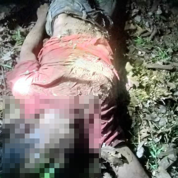 Seorang petani tewas diinjak gajah. Waspada/Seh Muhammad Amin