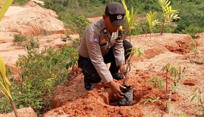 Polres Tapteng Tanam 1.200 Bibit Pohon