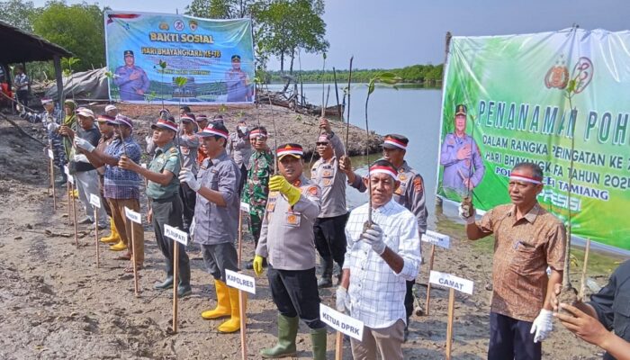 Polres Aceh Tamiang Tanam 1000 Pohon Mangrove