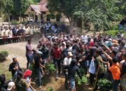 200 Ekor Lembu Diduga Diracun, GM PTPN 4 Regional 1 Asahan Enggan Hadapi Warga