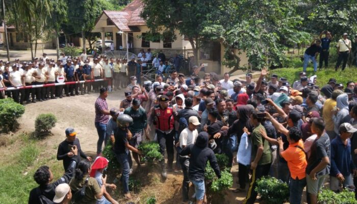 200 Ekor Lembu Diduga Diracun, GM PTPN 4 Regional 1 Asahan Enggan Hadapi Warga