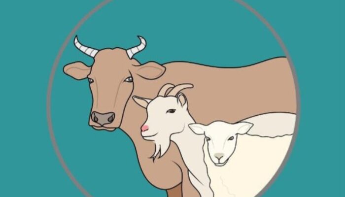 Konsumsi Daging Kurban Aman, Sesuaikan Dengan Asupan Harian