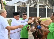 Sekretariat Jenderal MPR/DPR/DPD RI Kurban 11 Sapi Dan 7 Kambing Di Idul Adha 1445 H