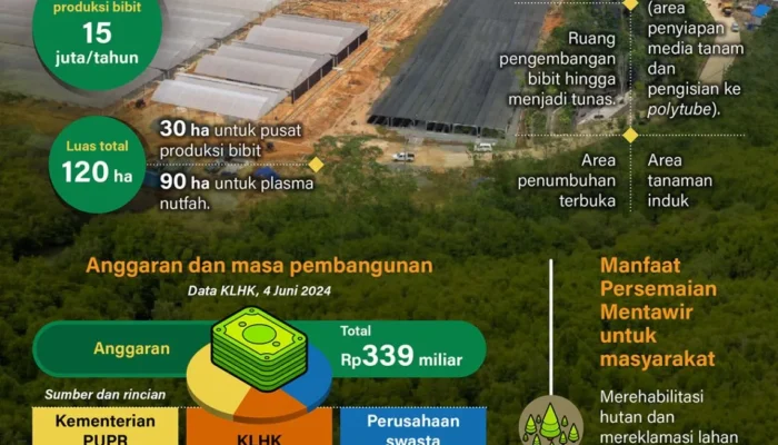 Persemaian Mentawir untuk rehabilitasi hutan Kalimantan