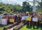 Guru PPPK Madina Lulus Seleksi 2023 Demo Minta Kepastian Status