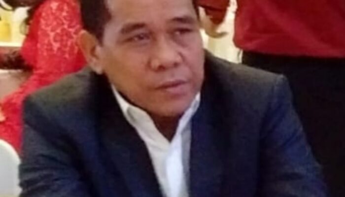 Anak Rantau Nilai Nikson Punya Kapasitas Jadi Cagubsu