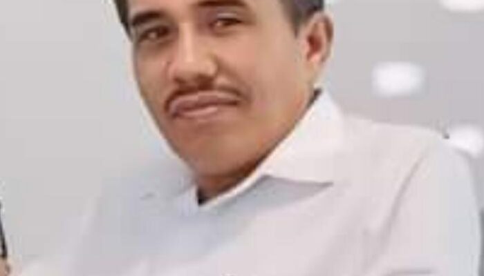 Birma Sinaga Berpeluang Menang Di Pilkada Humbahas 2024