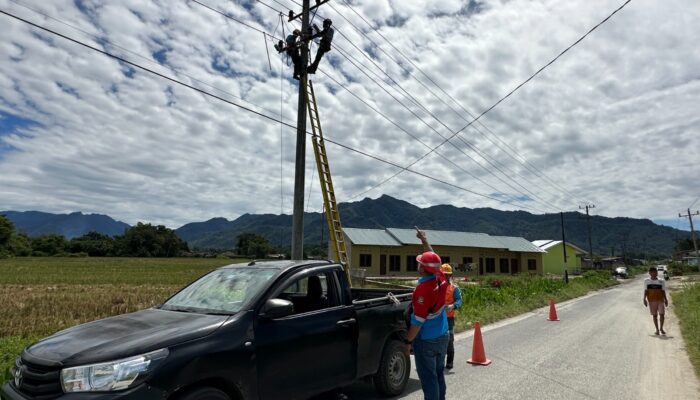 PLN UP3 Sibolga Gelar Rawat Jaringan Gabungan Jaga Keandalan Pasokan Listrik