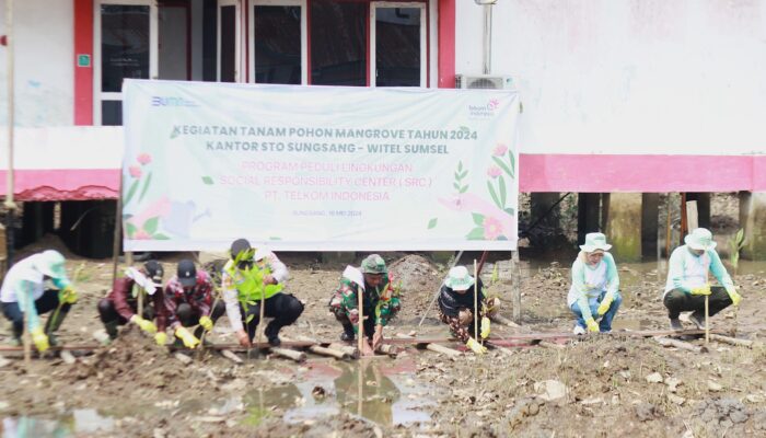 Jaga Keseimbangan Ekosistem Darat Dan Pesisir, Telkom Tanam 200 Mangrove Di Wilayah Kantor STO Sungsang
