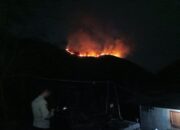 Lagi, Karhutla Terjadi Di Kenegerian Sihotang