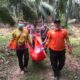 Warga Dihebohkan Penemuan Kerangka Manusia Di Areal Perkebunan