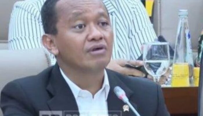 Realisasi investasi Kuartal II/2024 Tumbuh 6,7 Persen