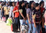 Investasi Semester I/2024 Serap Tenaga Kerja Capai 1.225.042 Orang