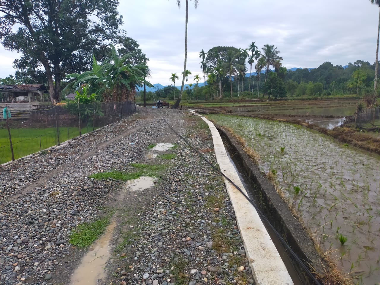 Angin Kencang Landa Nagan Raya, Tiga Rumah Rusak